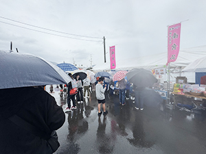 焼津みなと祭り