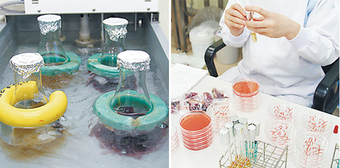 食品の自主検査