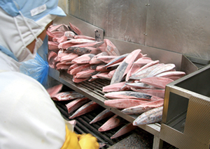 鮮度・旨味を封じ込める「エンカル凍結」