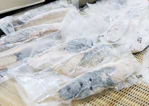 鮮度・旨味を封じ込める「エンカル凍結」